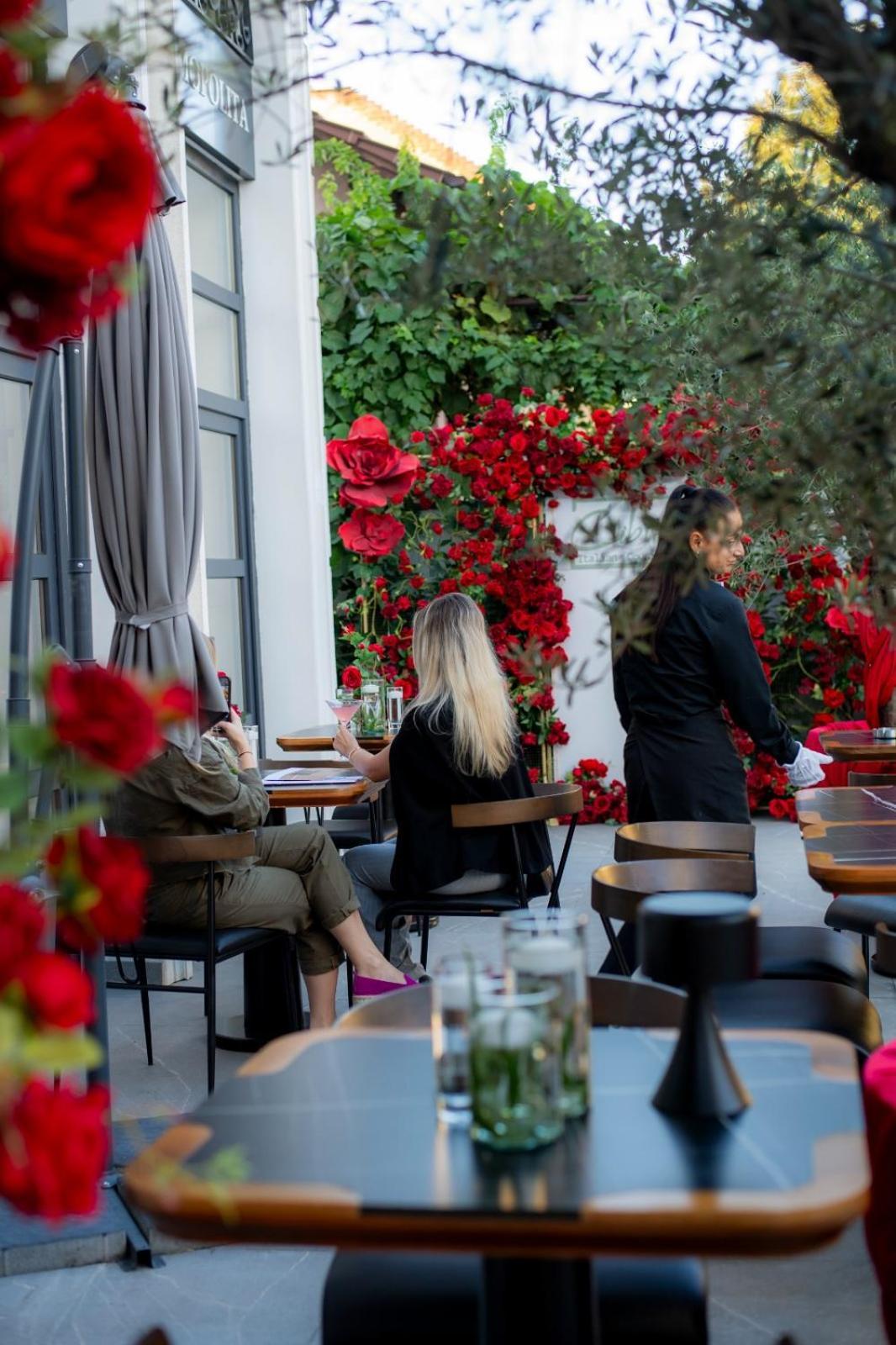 Cosmopolita Boutique Hotel Тимишоара Экстерьер фото